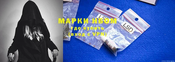 сатива Верея
