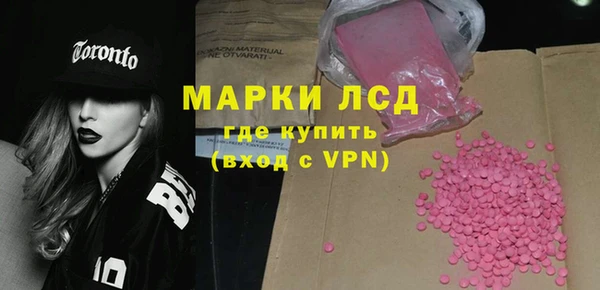 сатива Верея