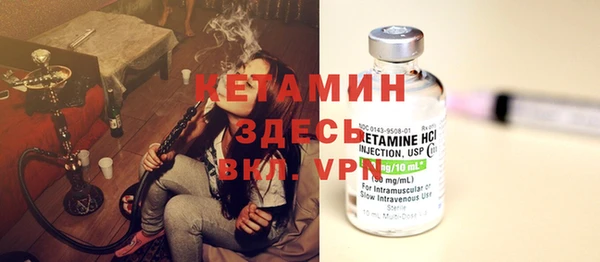 сатива Верея