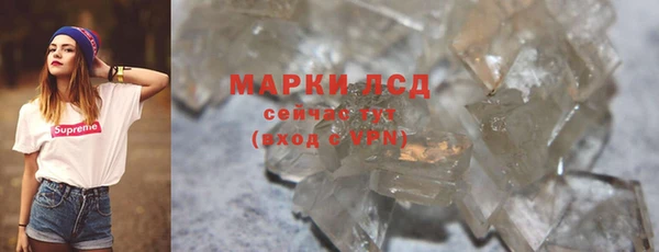 сатива Верея