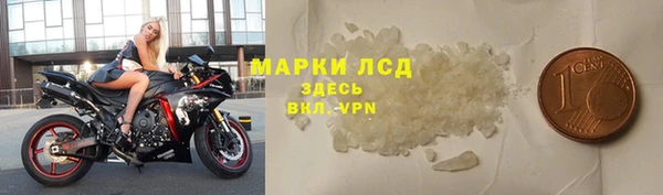 сатива Верея