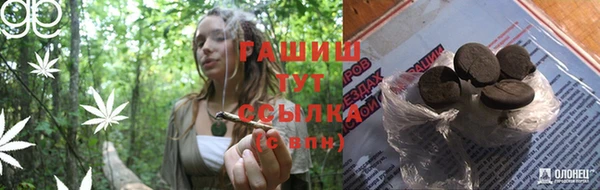 сатива Верея